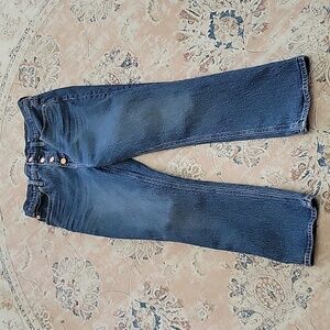 J Crew 10" Billie Demi Boot Crop blue jeans Button Fly Stretch 5 pocket 29 EUC…